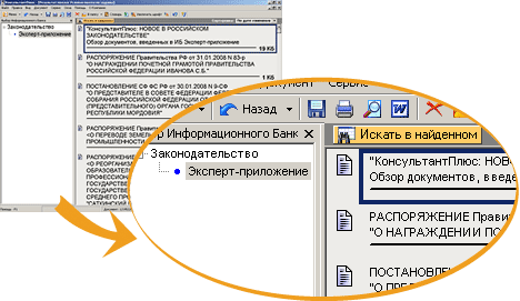 СПС КонсультантПлюс: Эксперт-приложение